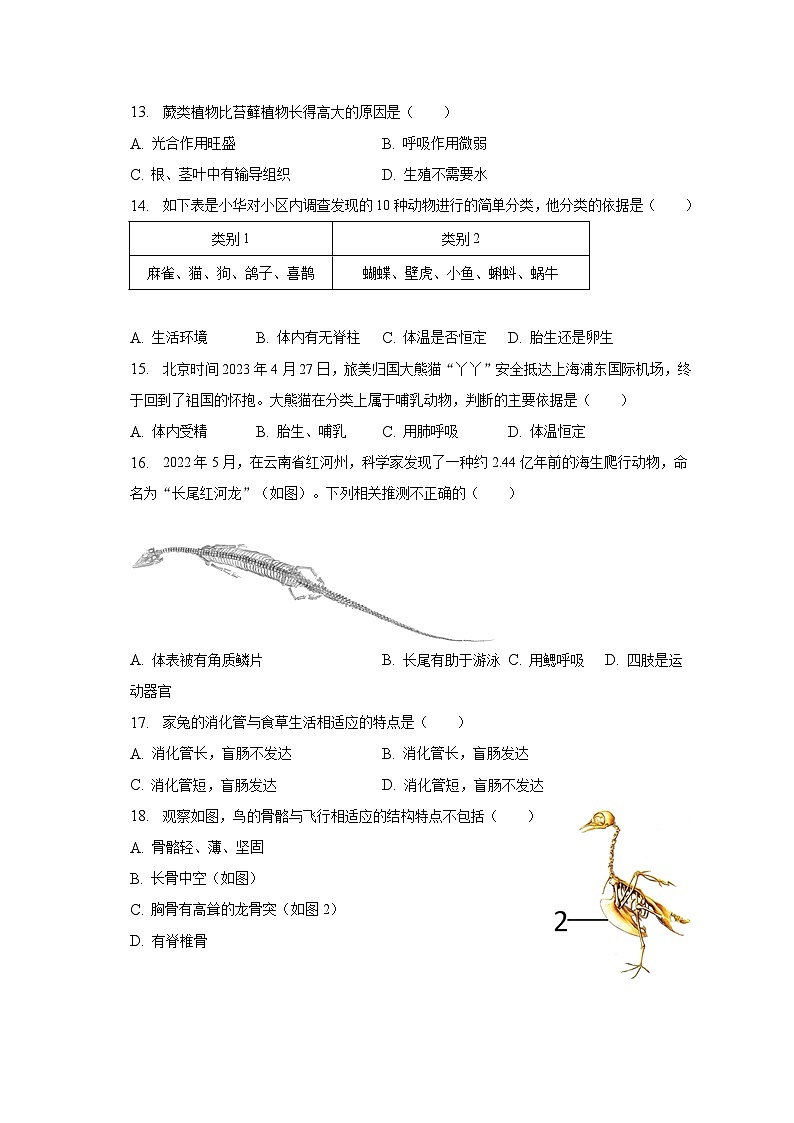 2022-2023学年陕西省延安市富县七年级（下）期末生物试卷（含解析）03