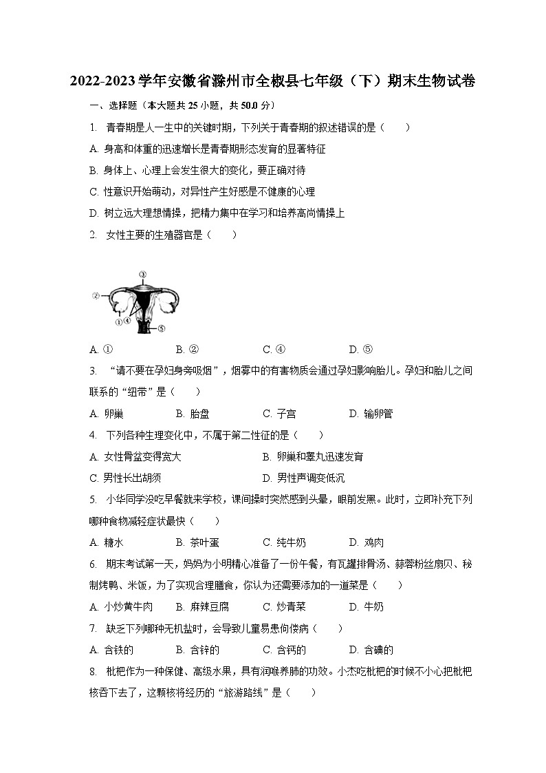 2022-2023学年安徽省滁州市全椒县七年级（下）期末生物试卷（含解析）第1页
