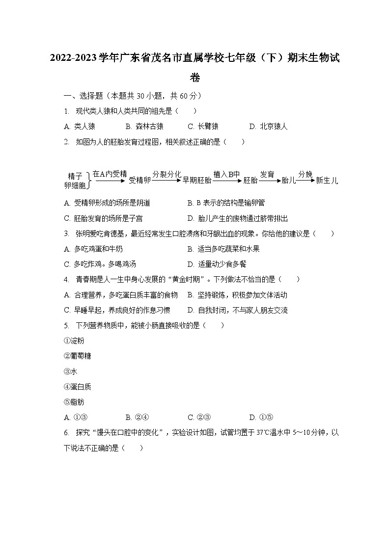 2022-2023学年广东省茂名市直属学校七年级（下）期末生物试卷（含解析）01