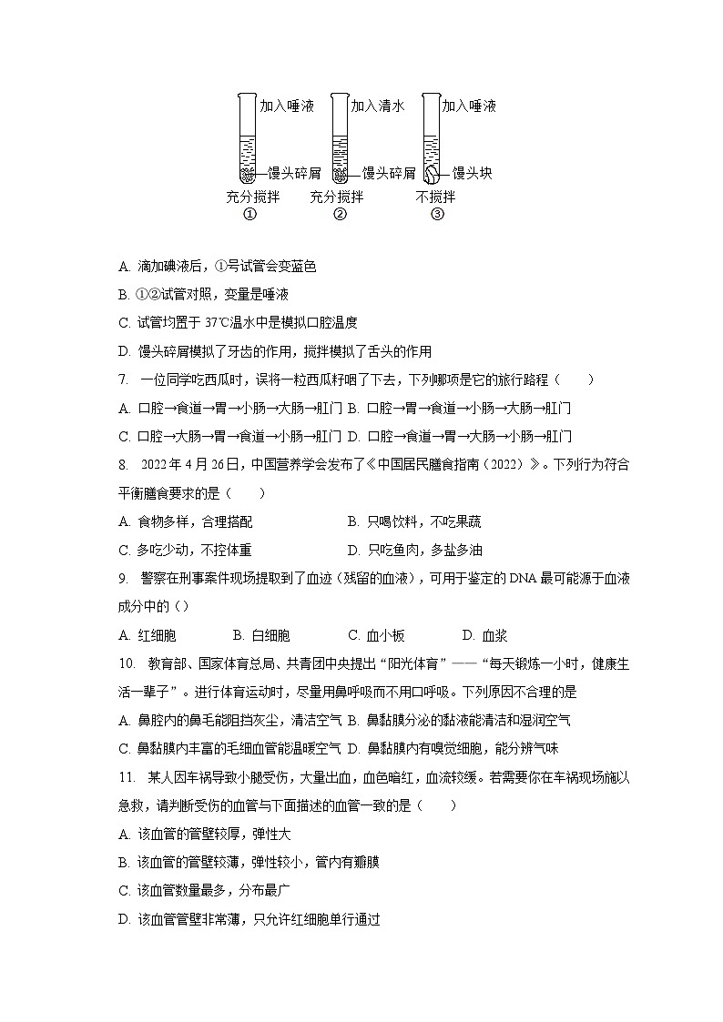 2022-2023学年广东省茂名市直属学校七年级（下）期末生物试卷（含解析）02