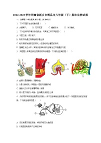 2022-2023学年河南省新乡市辉县市八年级（下）期末生物试卷（含解析）