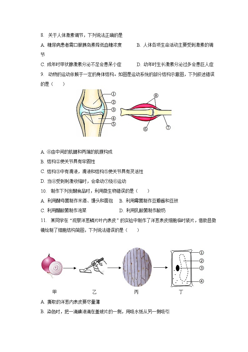2022-2023学年河南省新乡市辉县市八年级（下）期末生物试卷（含解析）第3页