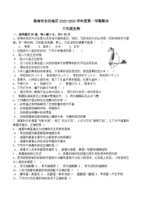 安徽省淮南市大通区2022-2023学年八年级下学期期末考试生物试卷（含答案）