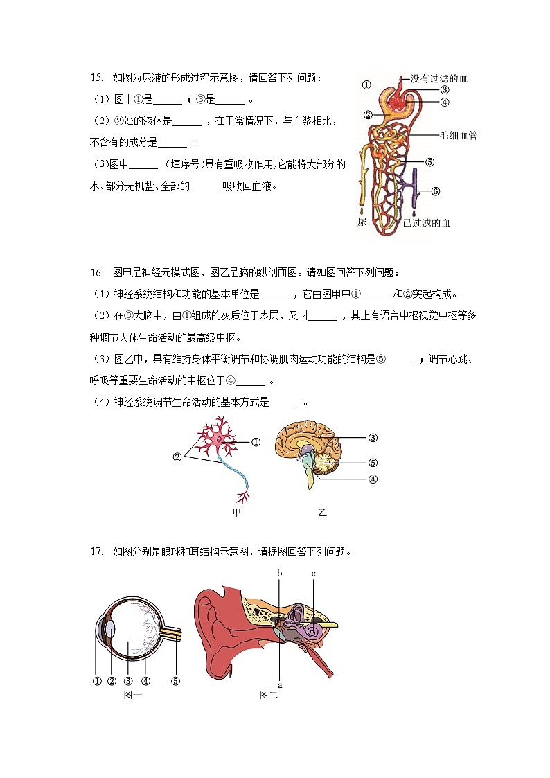 辽宁省沈阳市新民市2022-2023学年七年级下学期期末生物试卷（含答案）03