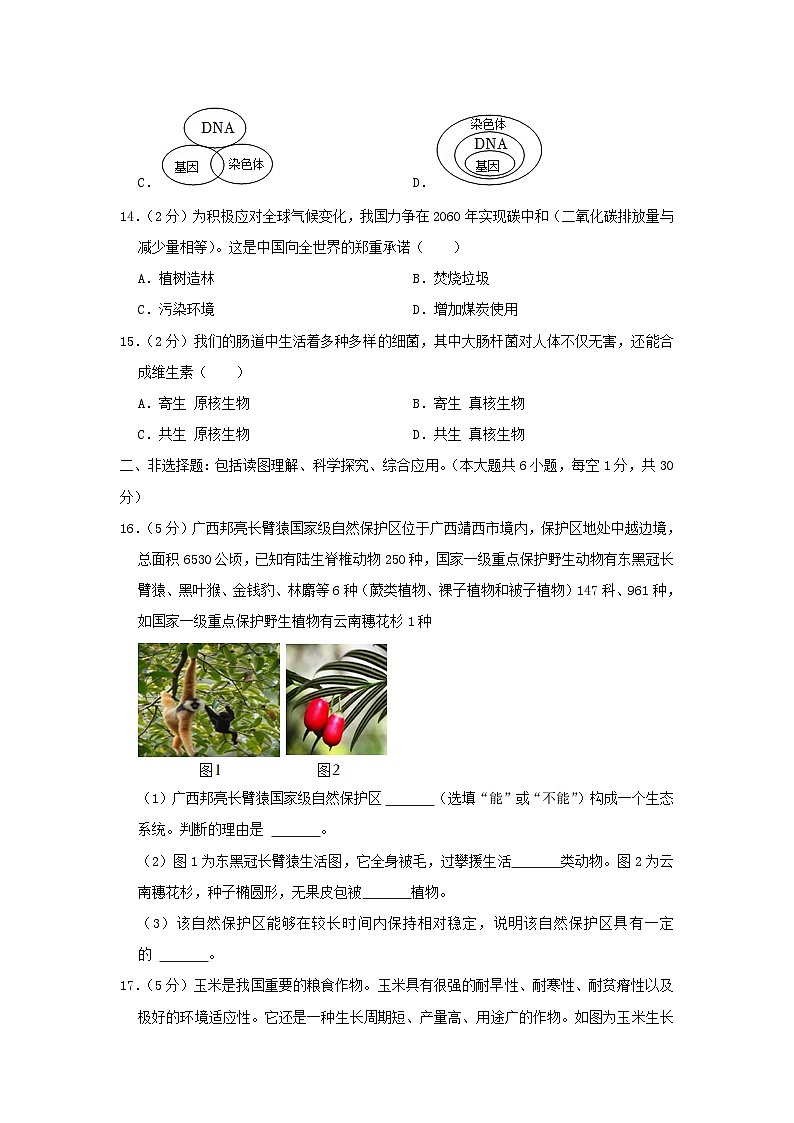 _2022年广西百色市中考生物真题及答案03