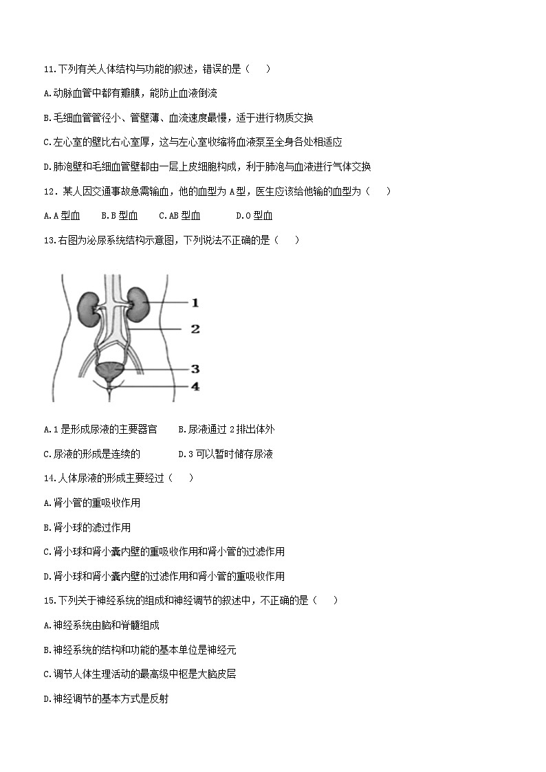 江西省赣州市大余县2022-2023年七年级下学期期末生物试题（含答案）03