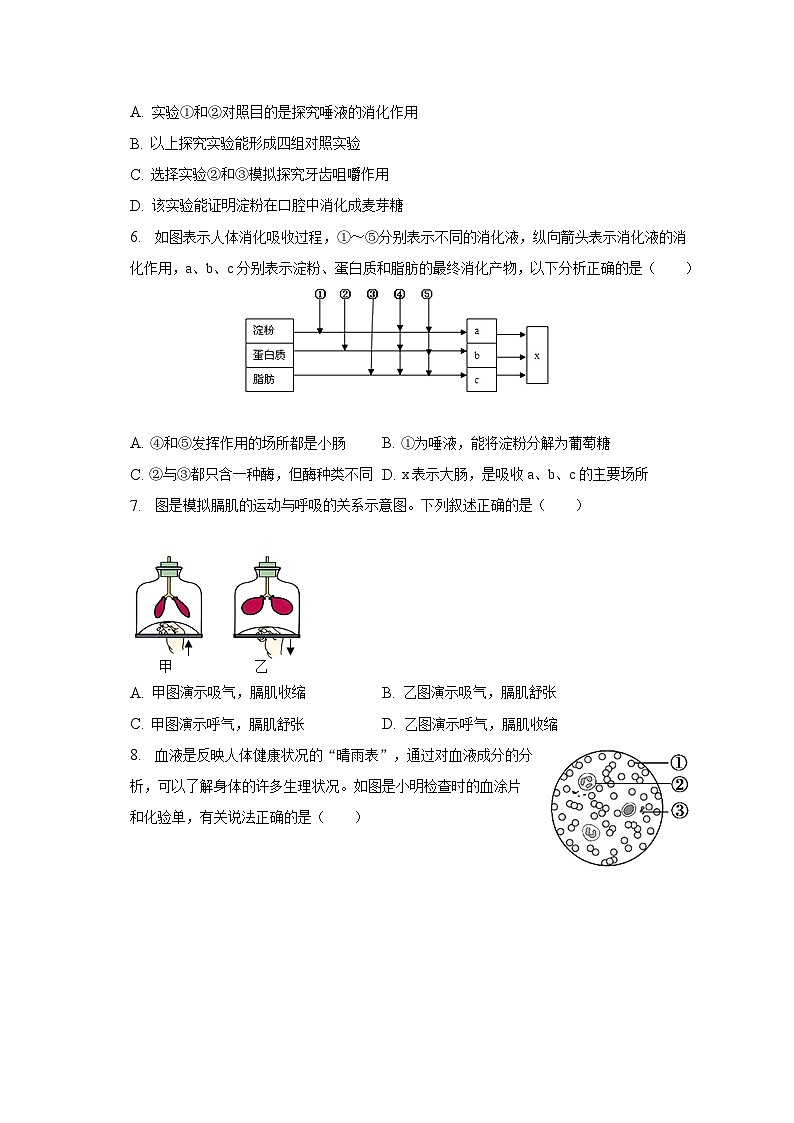 辽宁省丹东市东港市2022-2023学年七年级下学期期末生物试卷（含答案）02