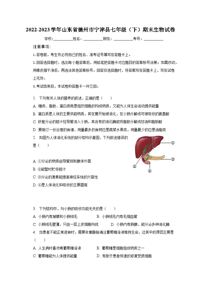 山东省德州市宁津县2022-2023学年七年级下学期期末生物试卷（含答案）01