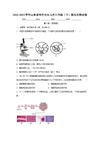 山东省枣庄市台儿庄2022-2023学年八年级下学期期末生物试卷（含答案）