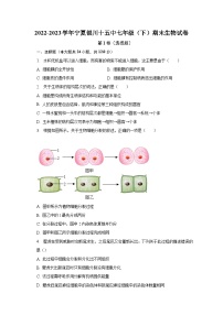 2022-2023学年宁夏银川十五中七年级（下）期末生物试卷（含解析）