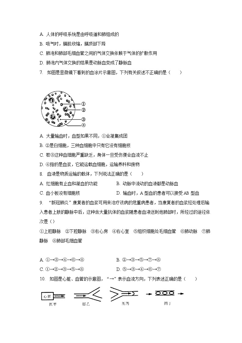 2022-2023学年山东省济宁市鱼台县七年级（下）期末生物试卷（含解析）02