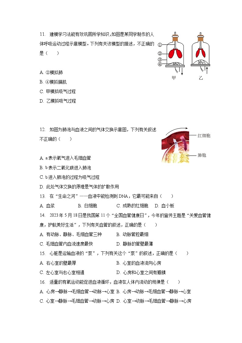 2022-2023学年安徽省安庆市桐城市七年级（下）期末生物试卷（含解析）第3页