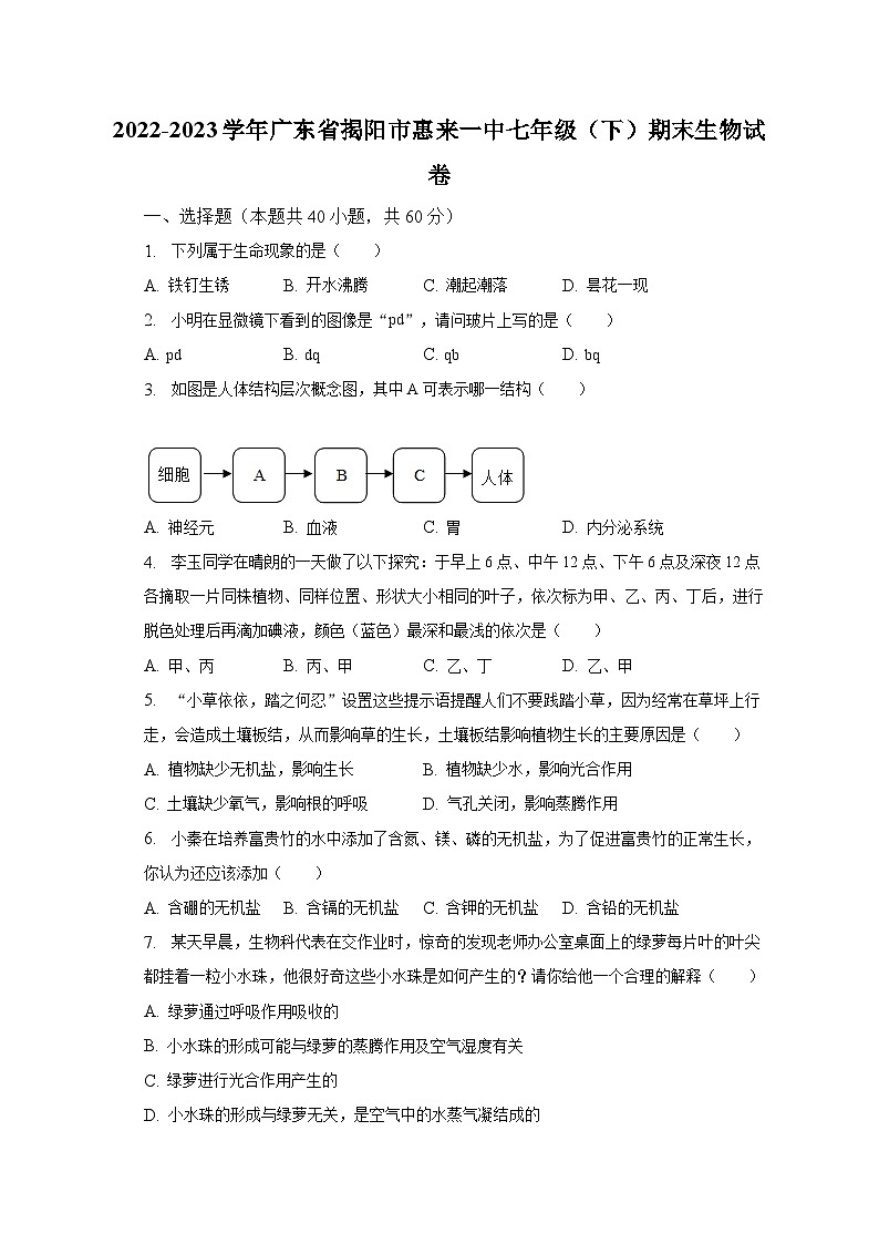 2022-2023学年广东省揭阳市惠来一中七年级（下）期末生物试卷（含解析）01