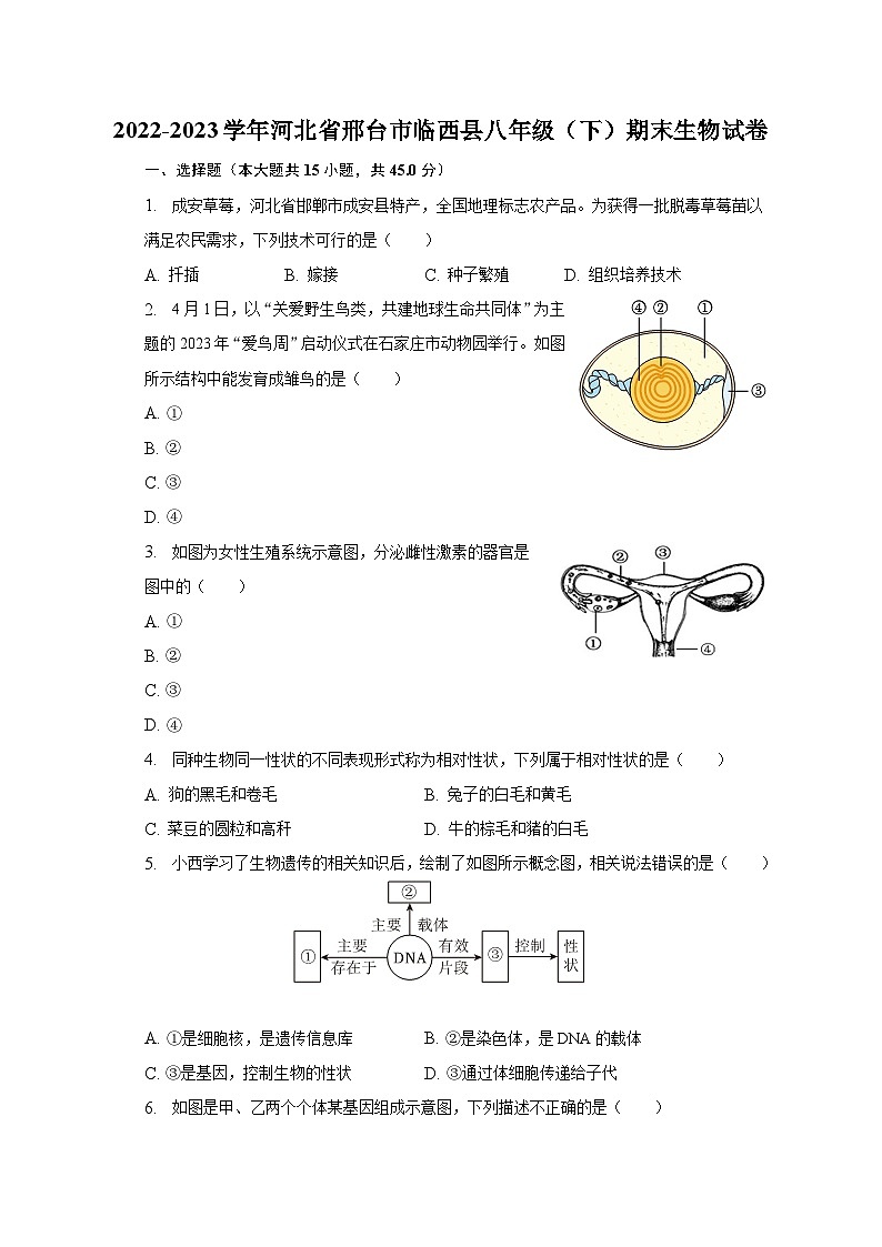 2022-2023学年河北省邢台市临西县八年级（下）期末生物试卷（含解析）第1页