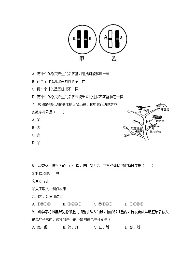 2022-2023学年河北省邢台市临西县八年级（下）期末生物试卷（含解析）第2页
