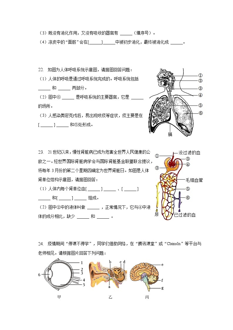 2022-2023学年河南省商丘市夏邑县七年级（下）期末生物试卷（含解析）03