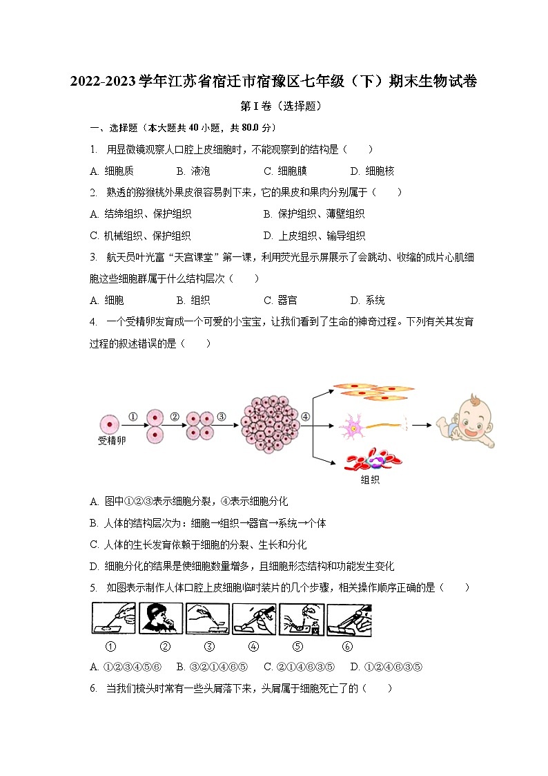 2022-2023学年江苏省宿迁市宿豫区七年级（下）期末生物试卷（含解析）第1页