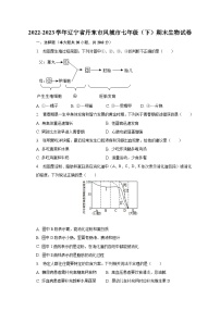 2022-2023学年辽宁省丹东市凤城市七年级（下）期末生物试卷（含解析）