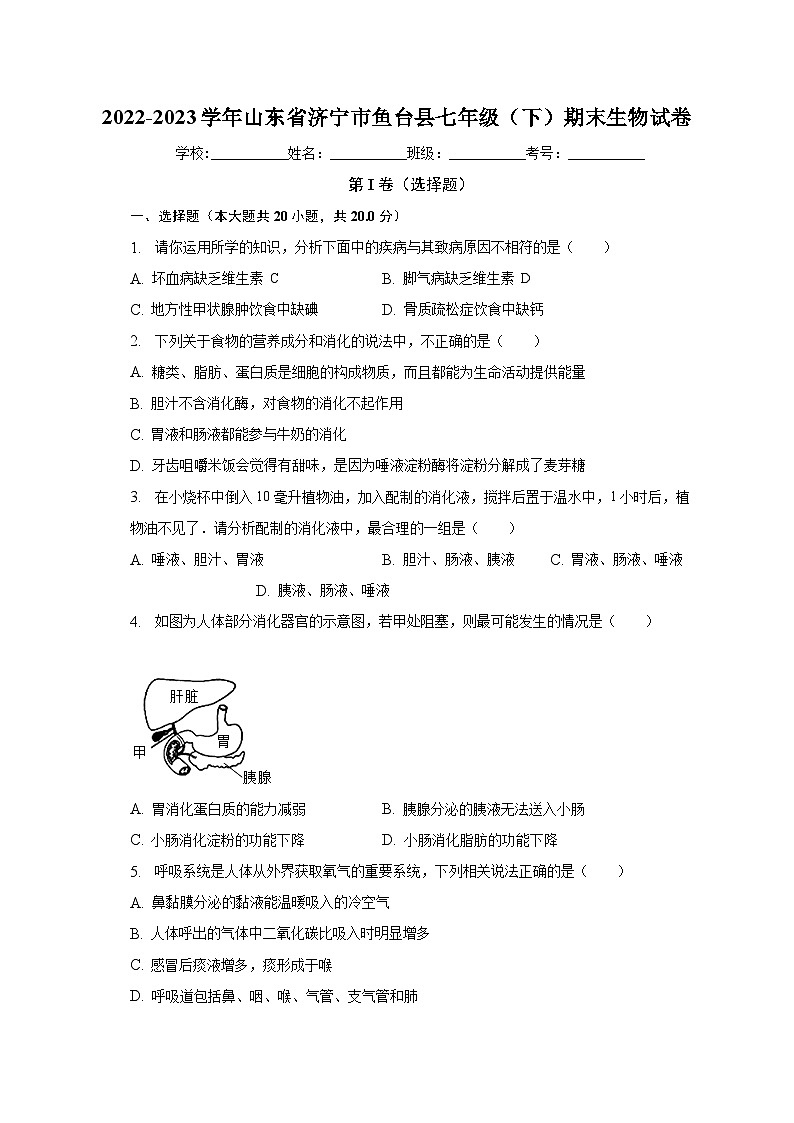 山东省济宁市鱼台县2022-2023学年七年级下期末生物试卷（含答案）01