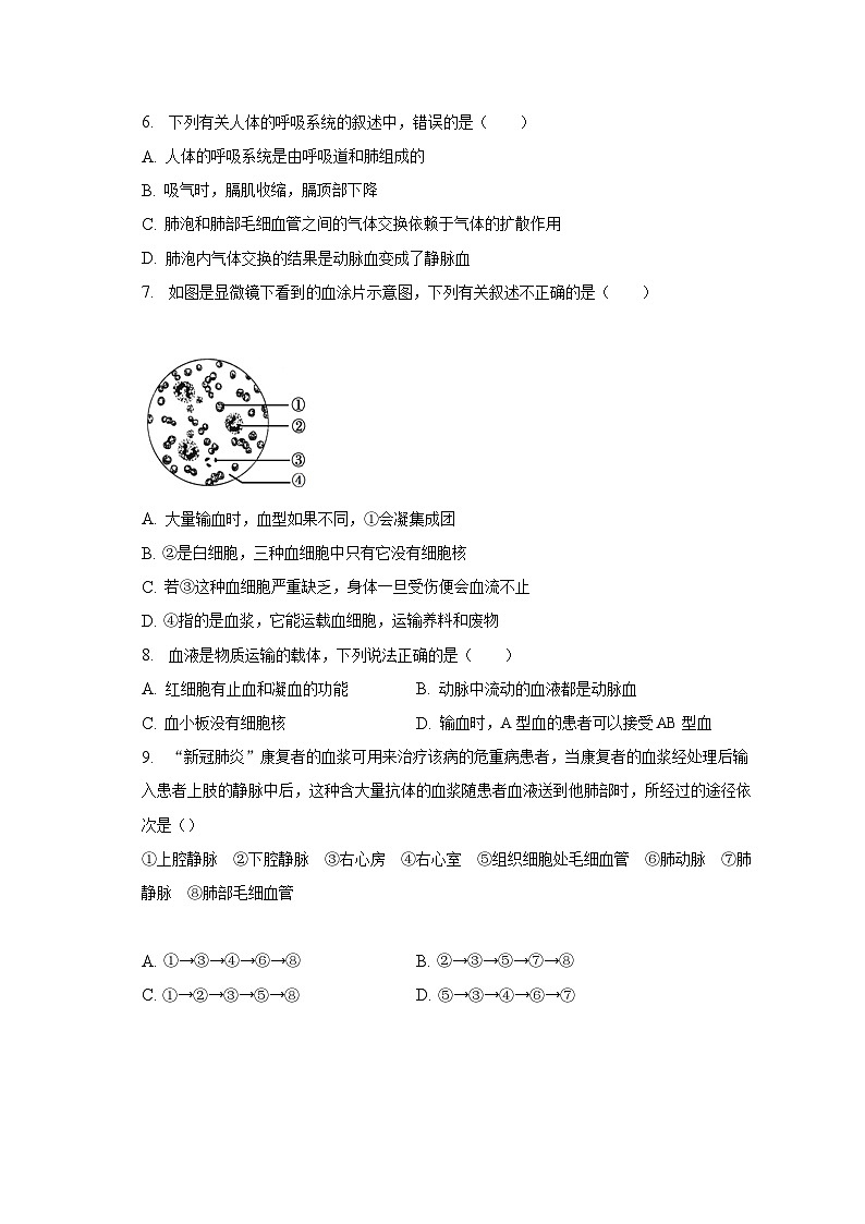 山东省济宁市鱼台县2022-2023学年七年级下期末生物试卷（含答案）02