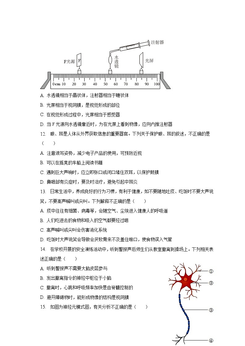 江西省赣州市石城县2022-2023学年七年级下期末生物试卷（含答案）第3页