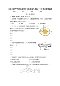 河北省邢台市临西县2022-2023学年八年级下期末生物试卷（含答案）