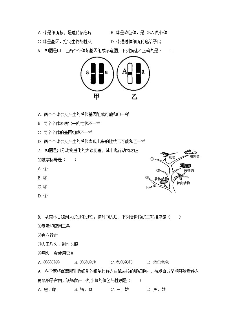 河北省邢台市临西县2022-2023学年八年级下期末生物试卷（含答案）02