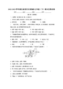 湖北省黄冈市黄梅县2022-2023学年七年级下期末生物试卷（含答案）