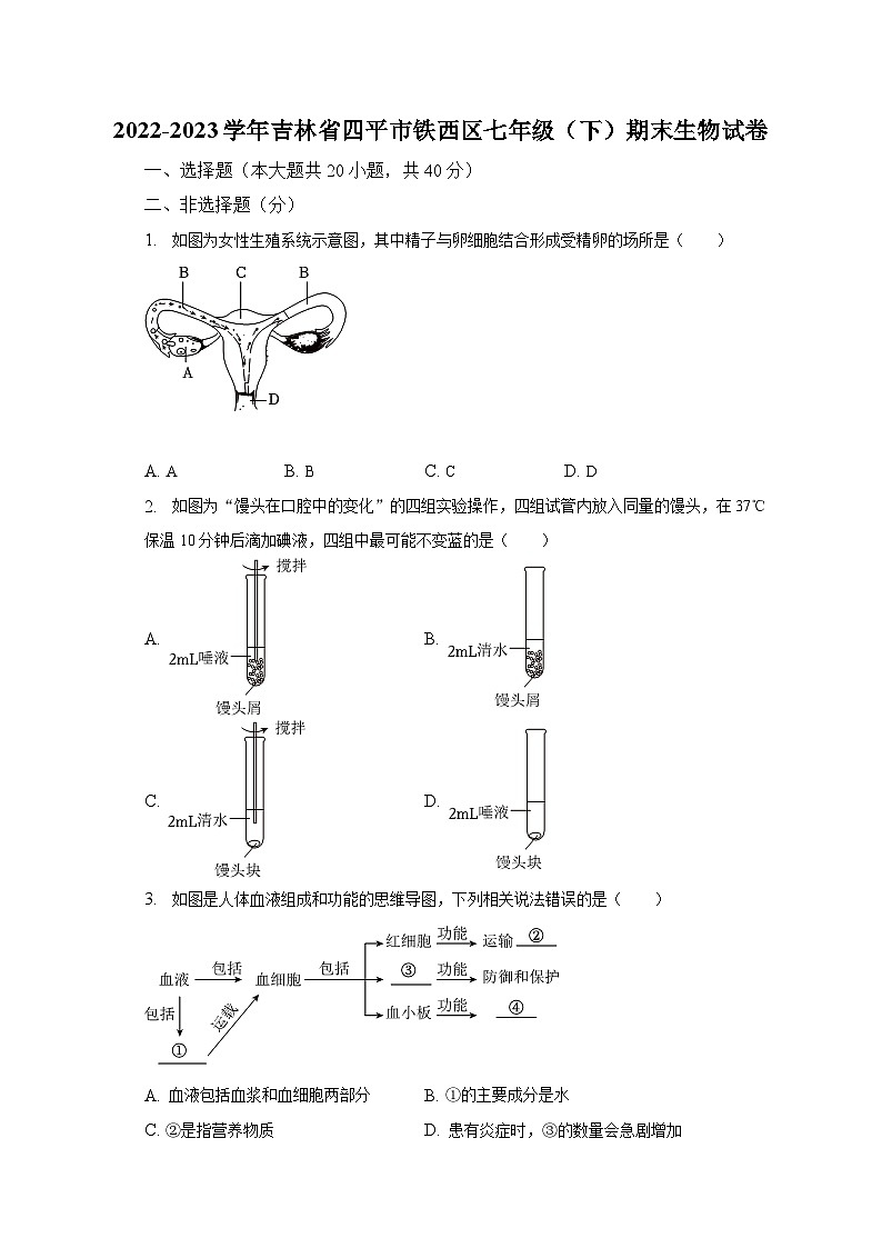 吉林省四平市铁西区2022-2023学年七年级下期末生物试卷（含答案）01