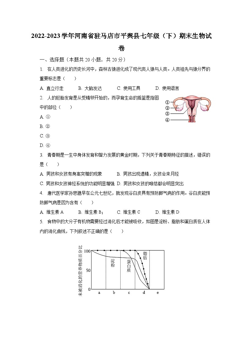 2022-2023学年河南省驻马店市平舆县七年级（下）期末生物试卷（含解析）01