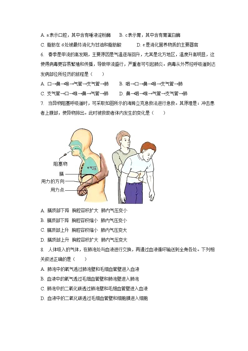 2022-2023学年河南省驻马店市平舆县七年级（下）期末生物试卷（含解析）02