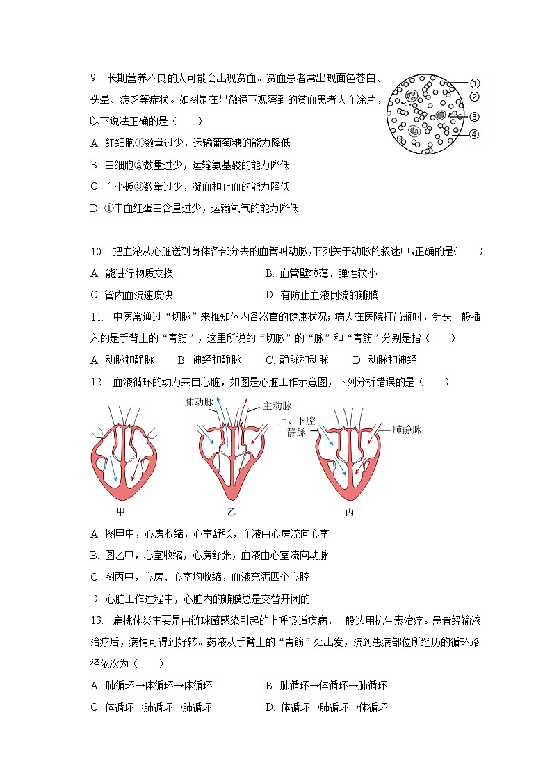 2022-2023学年河南省驻马店市平舆县七年级（下）期末生物试卷（含解析）03