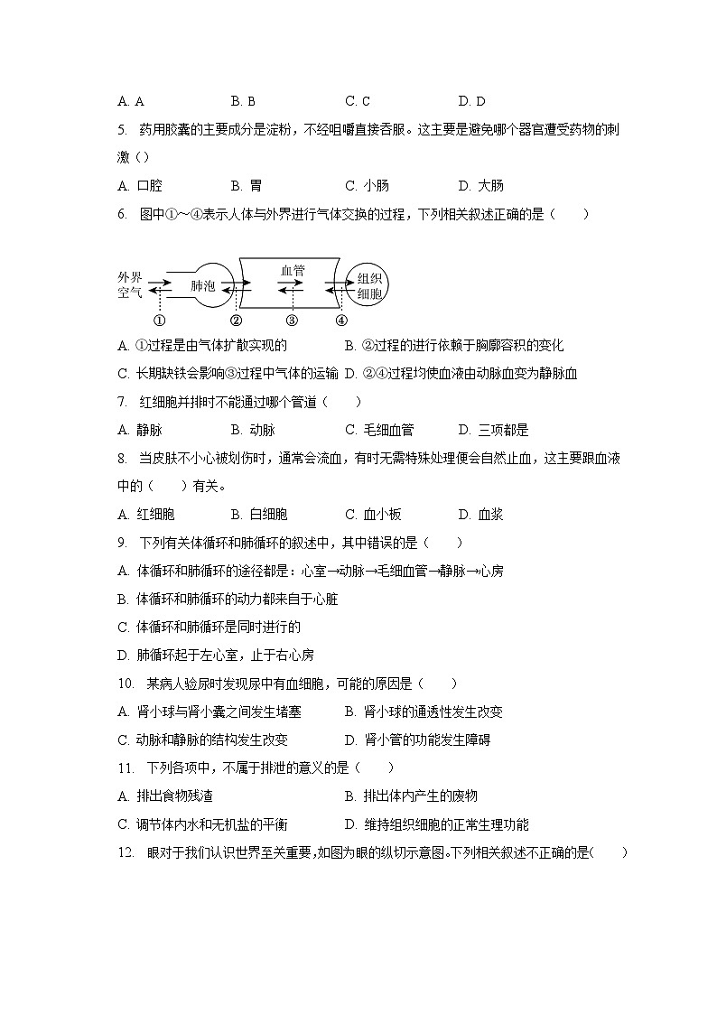 2022-2023学年河南省周口市太康县七年级（下）期末生物试卷（含解析）第2页