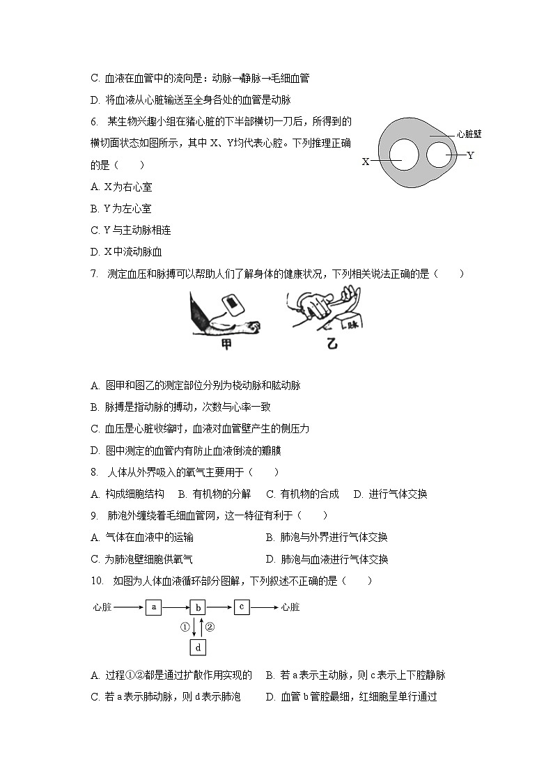 安徽省宿州市埇桥区教育集团2022-2023学年七年级下学期期末生物试卷（含答案）第2页
