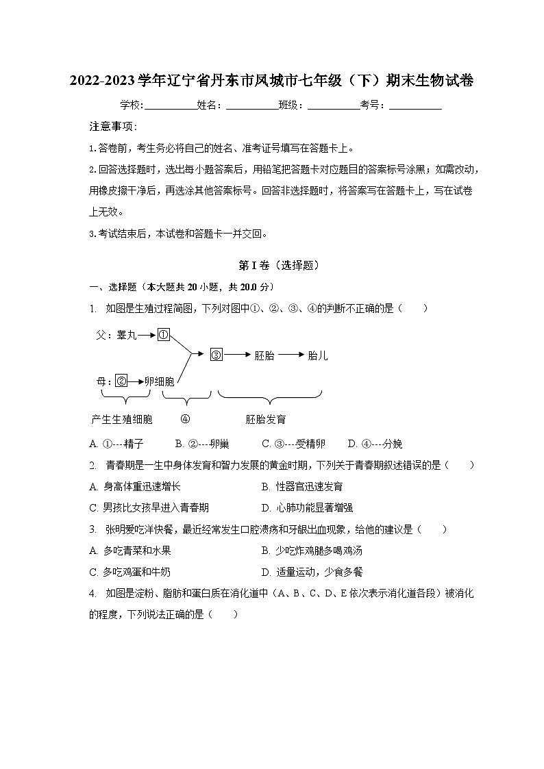 辽宁省丹东市凤城市2022-2023学年七年级下学期期末生物试卷（含答案）01