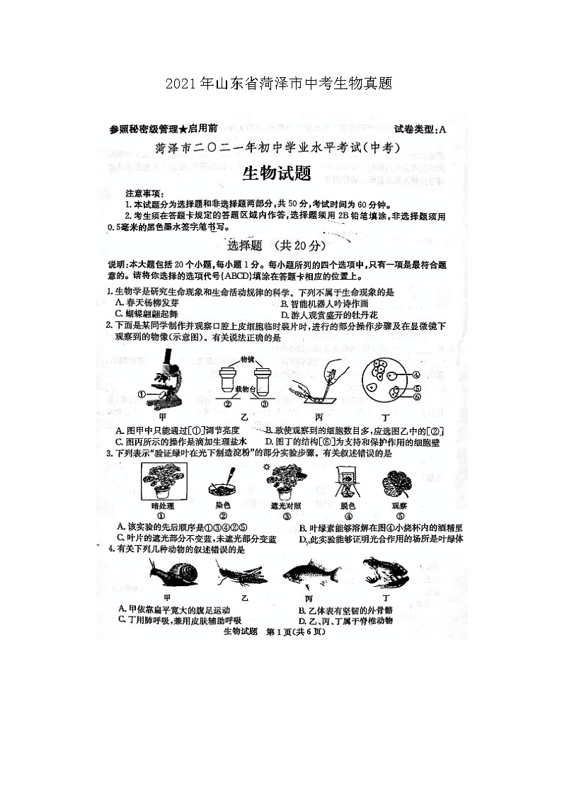 _2021年山东省菏泽市中考生物真题01
