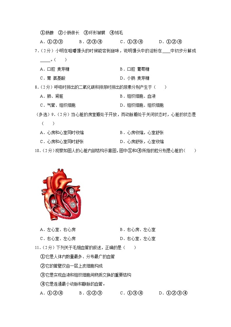 安徽省芜湖市无为市2022-2023学年七年级下学期期末生物试卷（含答案）02