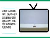 3.2.3《开花和结果》课件
