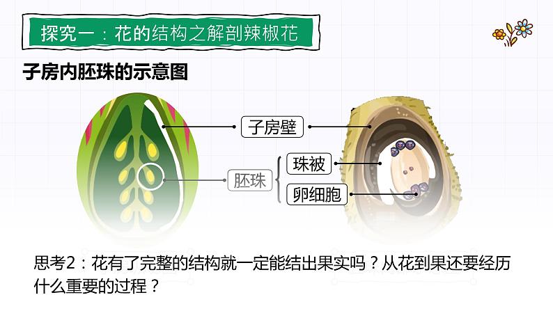 3.2.3《开花和结果》课件04