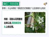 3.2.3《开花和结果》课件
