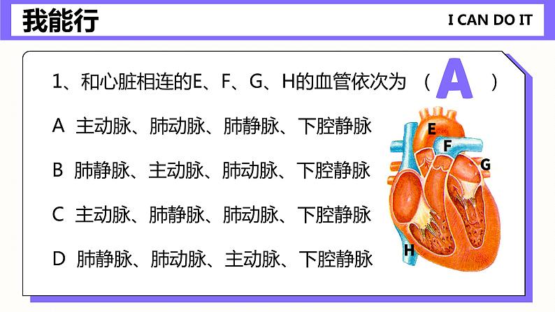 第四章《人体内物质的运输》课件07