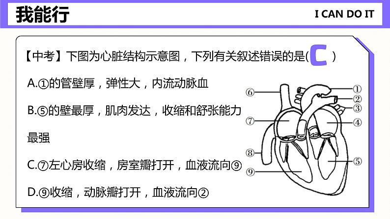 第四章《人体内物质的运输》课件08