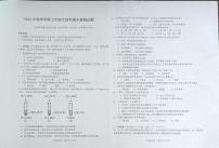 广西壮族自治区南宁市横州市2022-2023学年下学期七年级期末生物试题