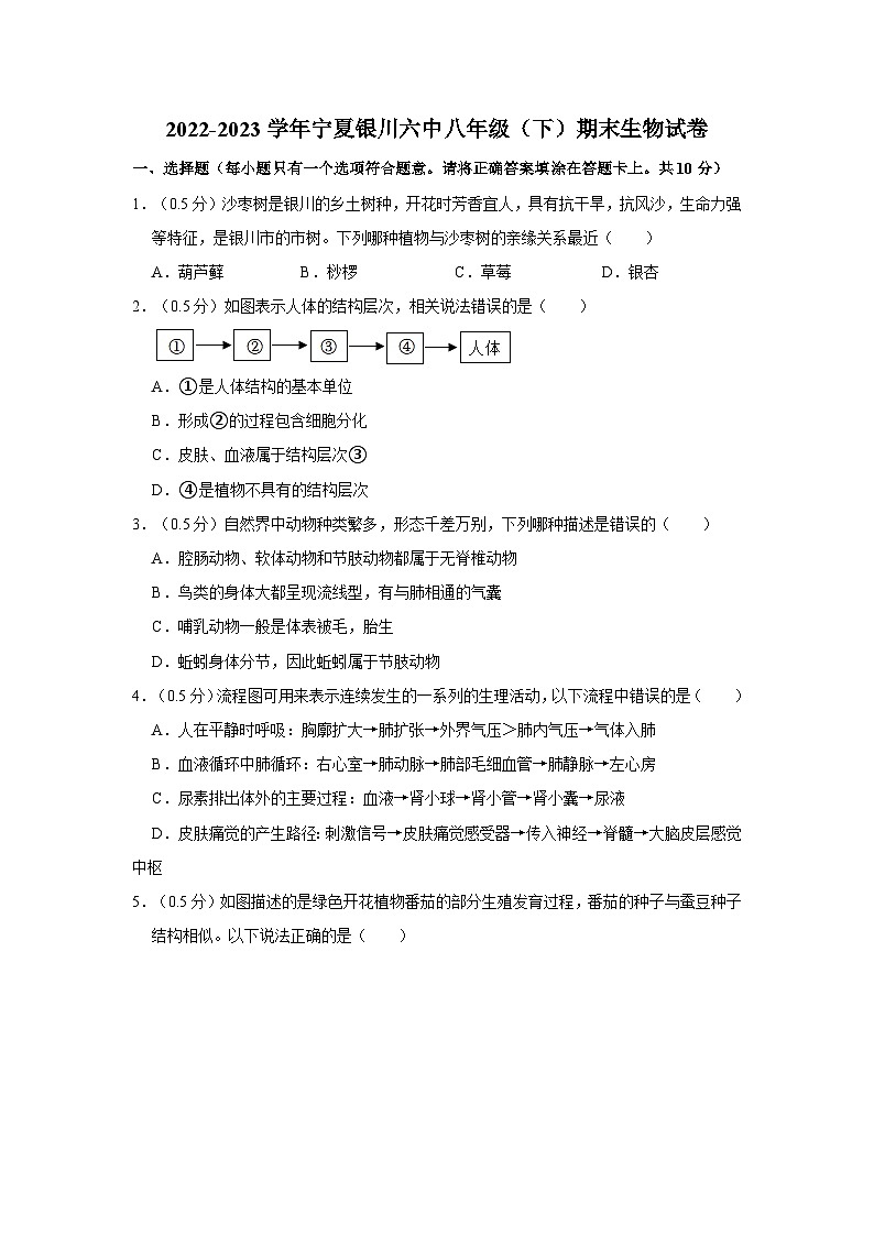 2022-2023学年宁夏银川六中八年级下学期期末生物试卷（含解析）第1页