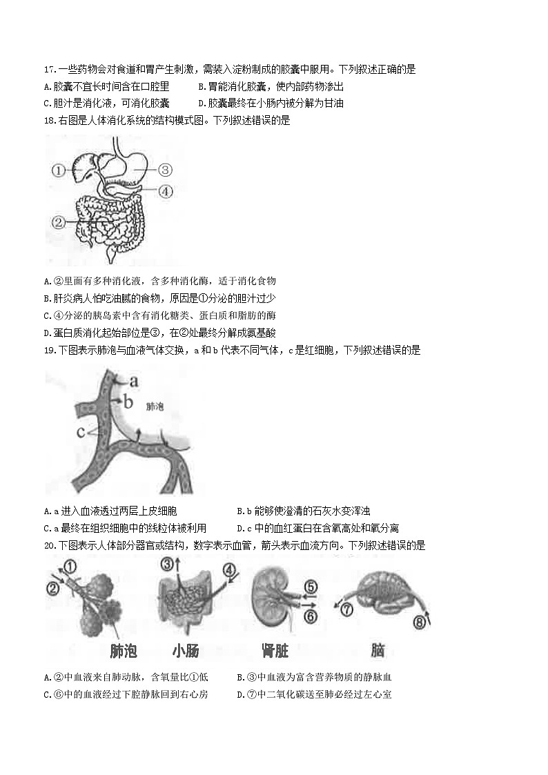福建省厦门市思明区2022-2023学年七年级下学期期末生物试题（含答案）03
