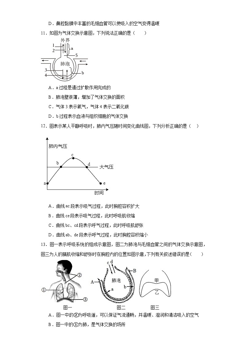 山东省日照市开发区2022-2023年七年级下学期期末生物试题（含答案）第3页
