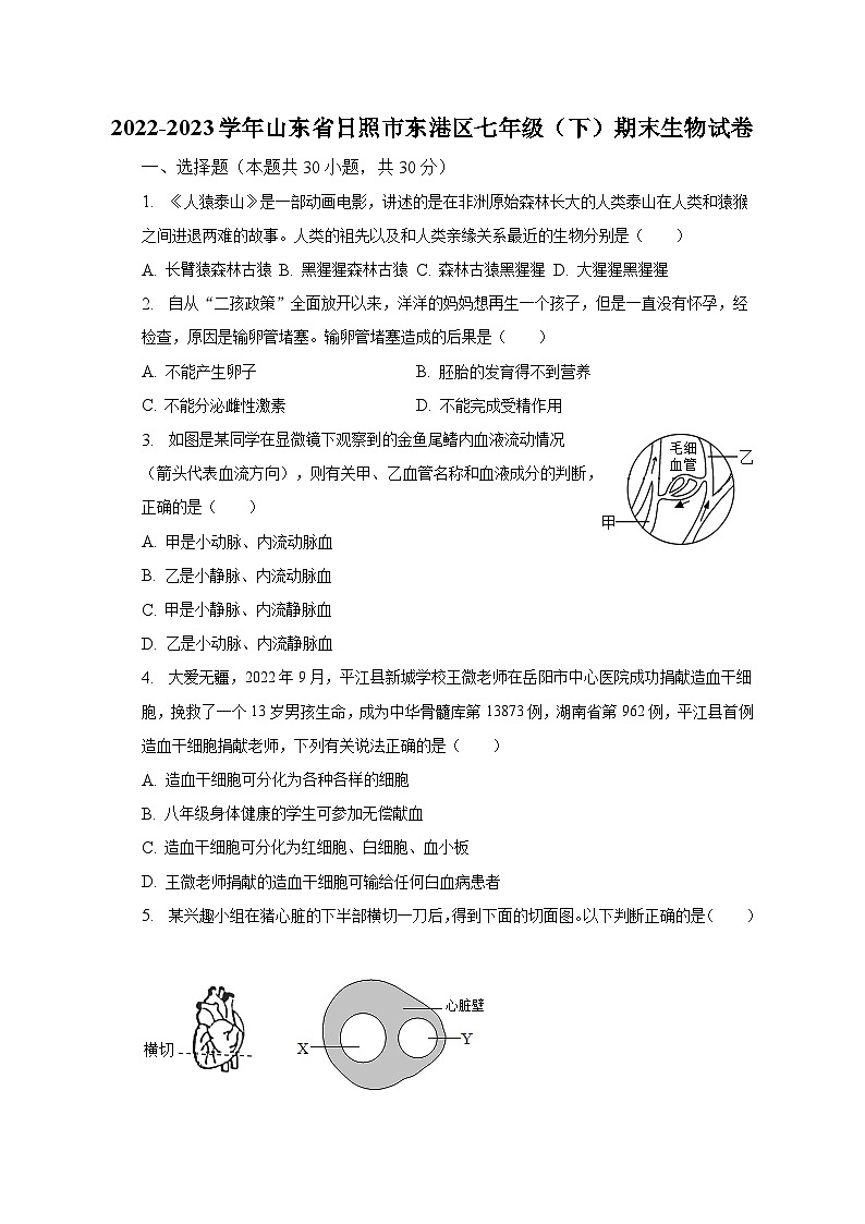 2022-2023学年山东省日照市东港区七年级（下）期末生物试卷（含解析）第1页