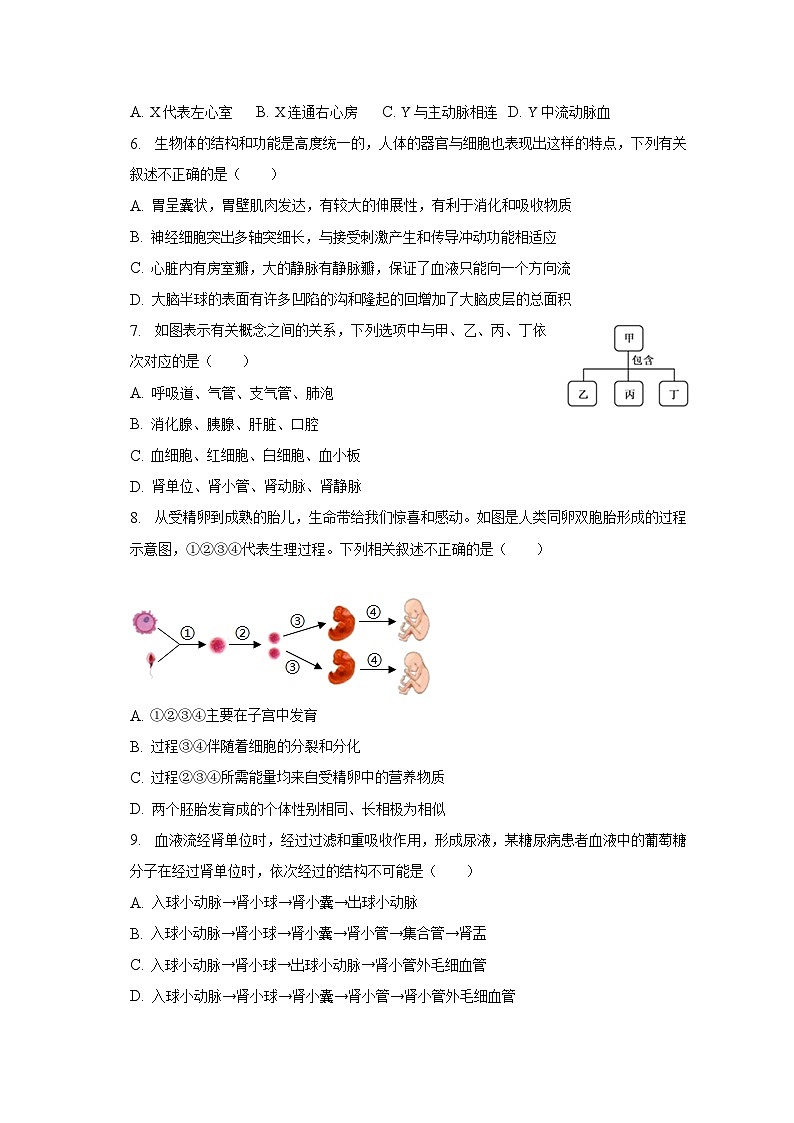 2022-2023学年山东省日照市东港区七年级（下）期末生物试卷（含解析）第2页