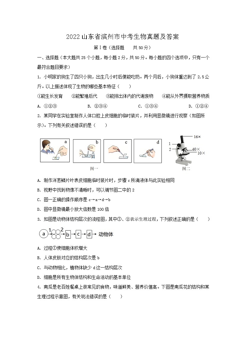 _2022山东省滨州市中考生物真题及答案01