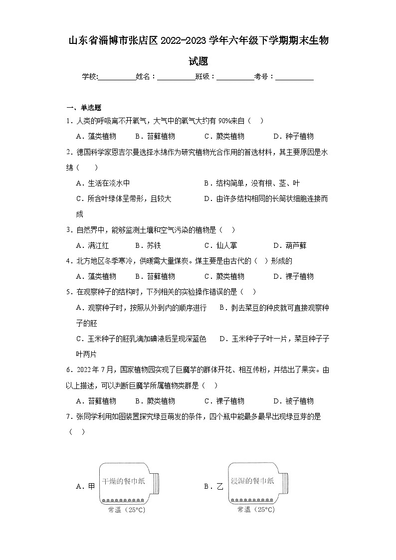 山东省淄博市张店区2022-2023学年六年级下学期期末生物试题（含答案）01